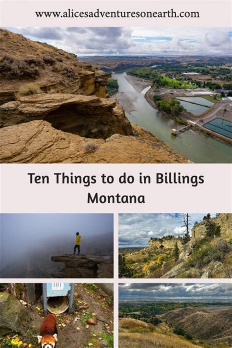 Unexpected Things To Do In Billings Montana