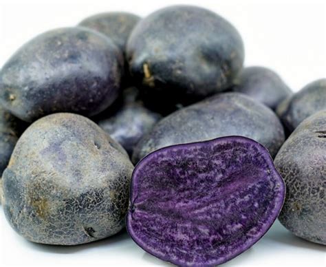 Purple Potato Seeds Sprouting Potatoes Ready to Plant. 10 - Etsy Canada