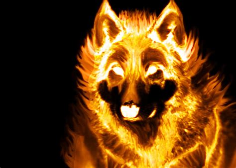 Fire Wolf by Lamar823 on DeviantArt