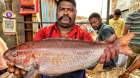 Kasimedu Speed Selvam Big Size Kandal Fish Cutting Video K Video