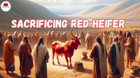 Sacrificing Red Heifer A Sign Of Dajjal S Age Youtube