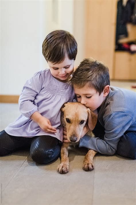 "Children Playing With The Dog At Home" by Stocksy Contributor "Mauro ...