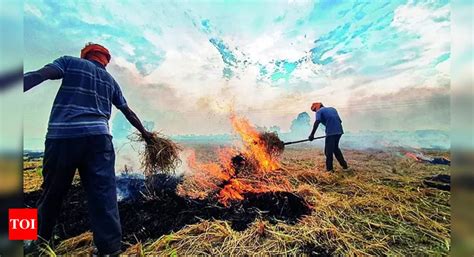 Stubble Burning Stubble Burning Count Goes Past K Court Cases