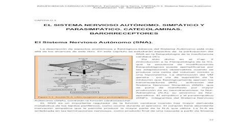 El Sistema Nervioso AutÓnomo SimpÁtico Y · Pdf Filegran Desorganización Del Sistema Nervioso