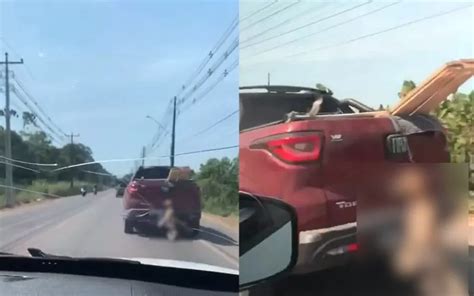 Motorista é flagrado arrastando cachorra corda no pescoço em rodovia