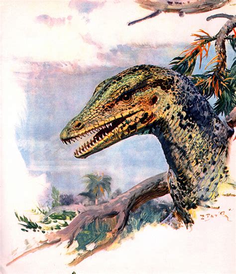 Fotos Zdenek Burian Dinosaurier Proavis Kopf Tiere Alte Tiere