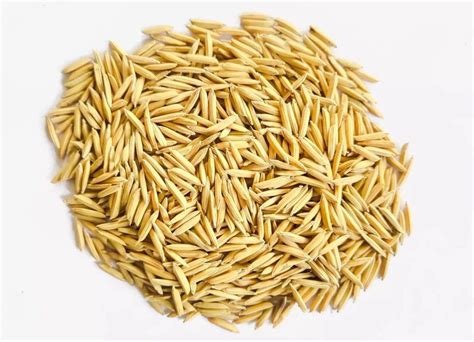 Dried Basmati Paddy Seeds For Agriculture Packaging Type Loose At