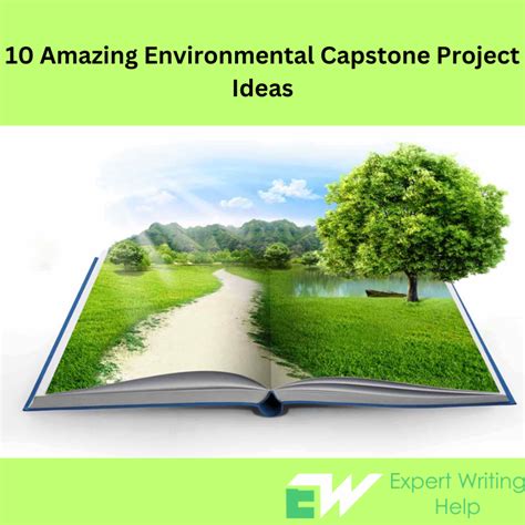 10 Creative Environmental Science Project Ideas