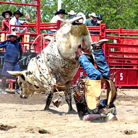 Cowboy Poetry – Bull Ride – Richard Beal