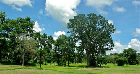 La Casamance au Sénégal plus belle région d Afrique de l Ouest