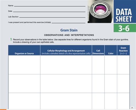 Solved organisms used were 1. Escherichia coli+ | Chegg.com 