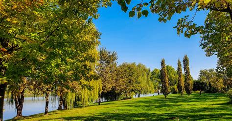 Parcul Dendrologic Chitila Idei De Weekend Dana Paraschiv