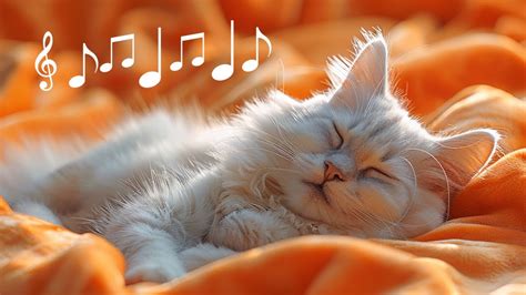 Hz Relaxation Music For Cats Calming Sleep Music For Restless