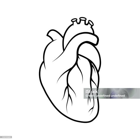 Medical Human Heart Icon Stock Illustration Download Image Now