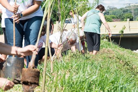 Terceira Idade Dá Exemplo E Planta 60 árvores às Margens Do Rio