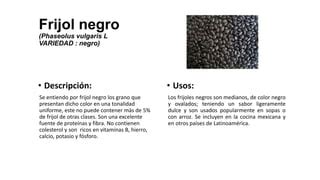 Frijol Negro Ppt