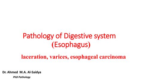 Pdf Pathology Of Digestive System Esophagus Laceration Varices Esophageal Carcinoma