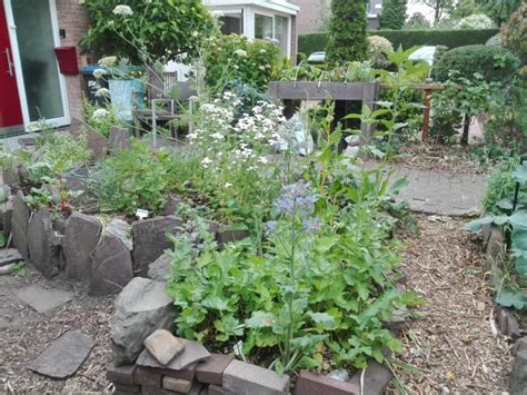 Open Nijmeegse Stadstuinen Eetbaar Nijmegen