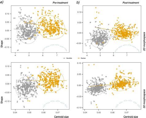 Nested Regressions For Allometric Component Centroid Size And Shape