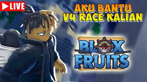 Aku Bantu Kalian Untuk Race V Sambil Raid Fruit Lets Goo Live