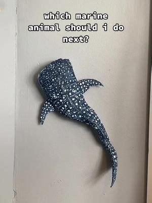 Part One Of Making A Whale Shark Marvarto Fyp Whaleshark Cardboar