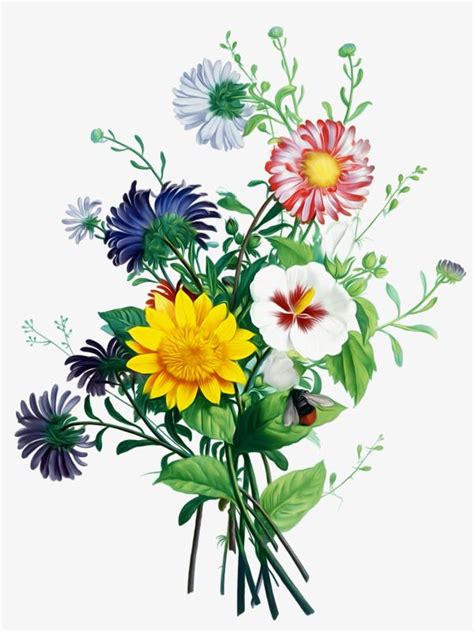 Bouquet Of Flowers Vector Free