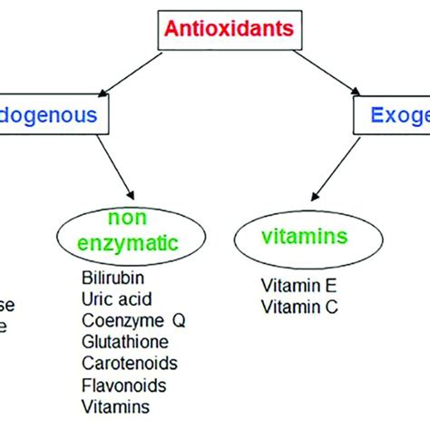 Classification Of Antioxidants Download Scientific Diagram