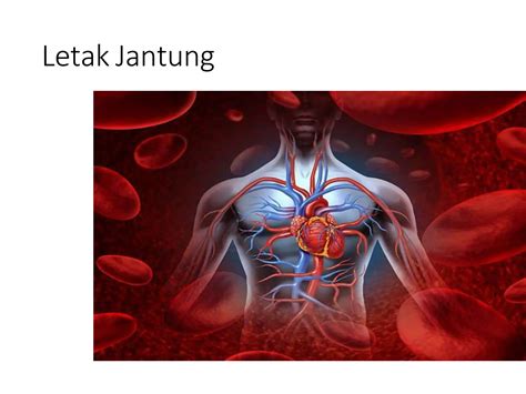 Mengenali Tanda Dan Gejala Serangan Dini Penyakit Jantung Dr Bambang Pptx