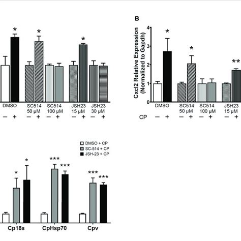 The Nf Kb Signaling Pathway Controls C Parvum Induced Nostrill