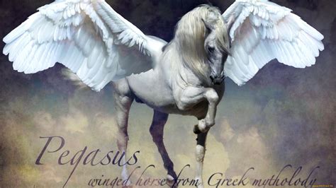 Majestic Pegasus A Stunning Hd Wallpaper From Greek Mythology