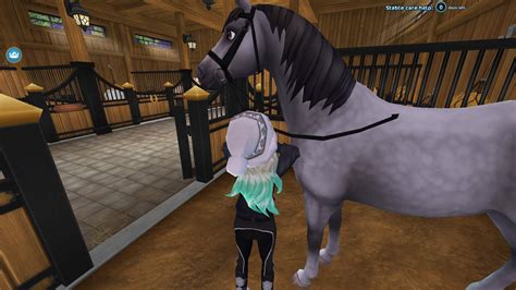 About Me Wiki Star Stable Online Amino