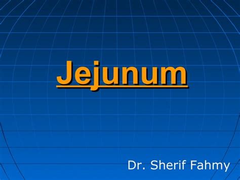 Jejunum & Ileum (Anatomy of the Abdomen) | PPT