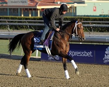 Alpha - Horse Profile - BloodHorse