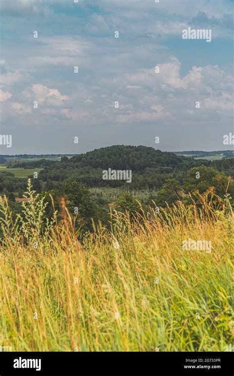 The Nature Scenery Of Lithuania Stunning Green And Forest Landscape