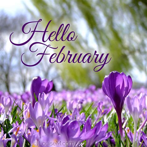 100 February Quotes to Add Fun and Love to Your Month | LouiseM