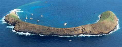 Seafire Molokini Snorkel Molokini Snorkel From Kihei Maui