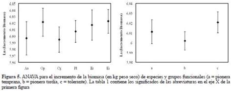 Alometr A Y Crecimiento De Seis Especies Arb Reas En Un Bosque De