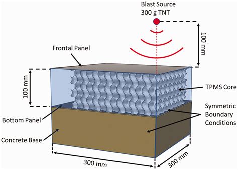 Triply Periodic Minimal Surfaces Sandwich Structures Subjected To Shock