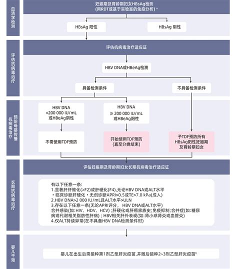 《2024年世界卫生组织慢性乙型肝炎患者的预防、诊断、关怀和治疗指南》推荐意见要点