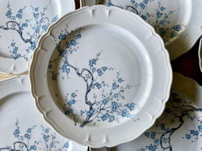 Assiettes Plates Porcelaine De Ch Tres Sur Cher Ann Es Fleurs