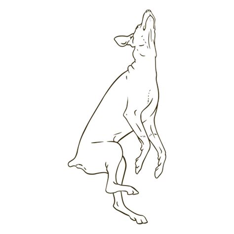 Dise O Png Y Svg De Dibujo En Blanco Y Negro De Un Perro Saltando Para