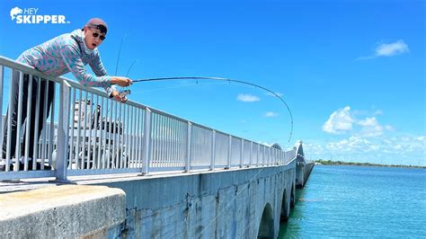 These Fishing Spots Have So Many Fish Key West Bridge Fishing Youtube