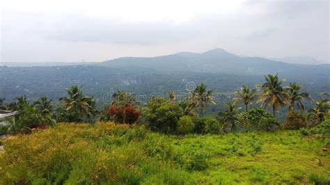 Kerala Nature Stock Image Image Of Kerala Grassland 129969253