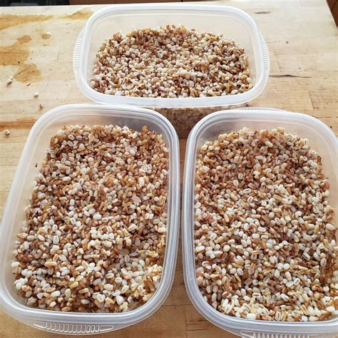 Cooked grains for the next couple weeks : r/WholeFoodsPlantBased