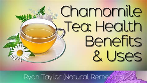 Chamomile Tea Benefits And Uses Youtube