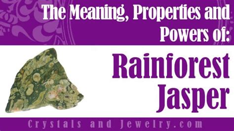 Rainforest Jasper Meanings Properties And Powers A Complete Guide