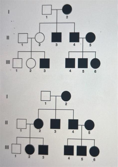 Solved Compare The Two Pedigrees And Explain Chegg