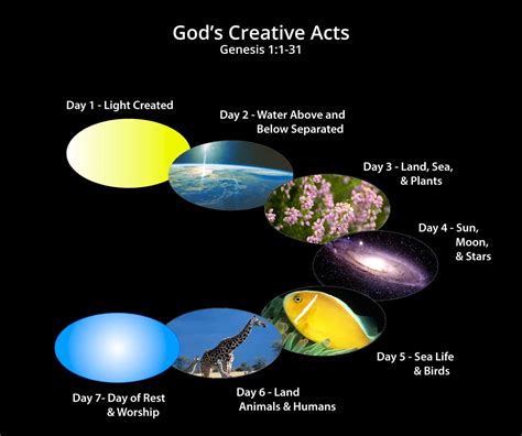 Genesis Days Of Creation