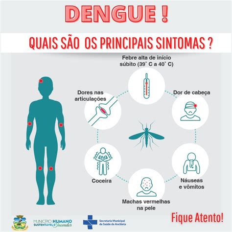 Controle das Doenças Dengue Chagas Leishmaniose e Malária