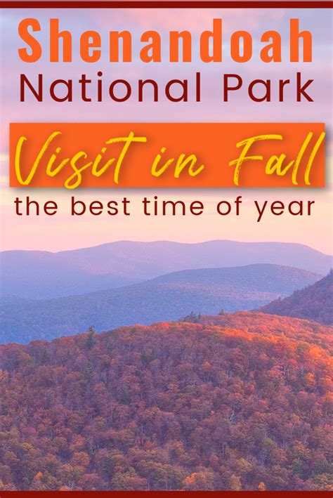 Ultimate Guide To Shenandoah National Park Plan Your Fall Visit Now